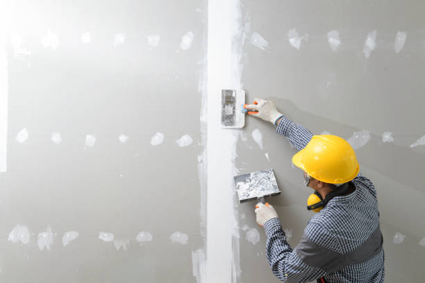 Best Stucco Painting  in Woodbridge, CA